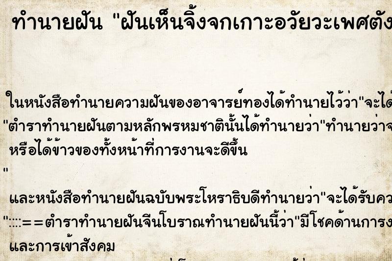 ทำนายฝันทำนายฝันฝันเห็นจิ้งจกเกาะอวัยวะเพศตังเอง