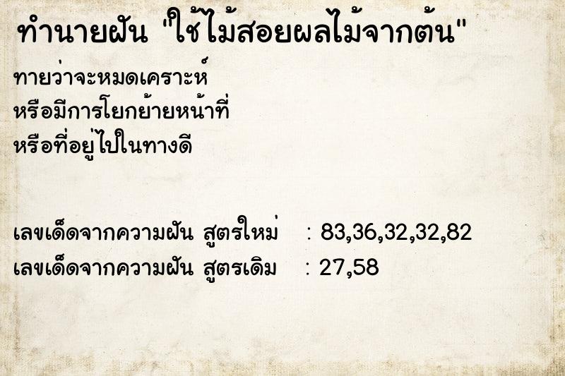 ทำนายฝันใช้ไม้สอยผลไม้จากต้น ทำนายฝันทำนายฝันใช้ไม้สอยผลไม้จากต้น