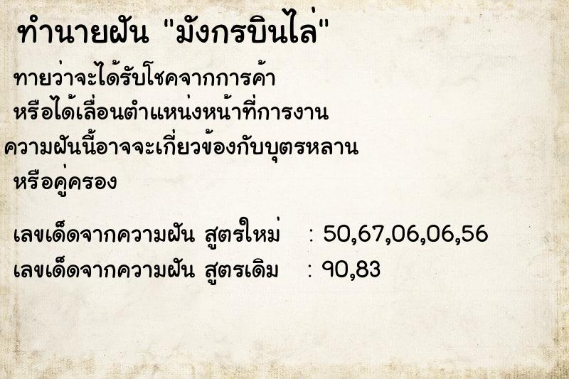 ทำนายฝัน มังกรบินไล่ ตำราโบราณ แม่นที่สุดในโลก