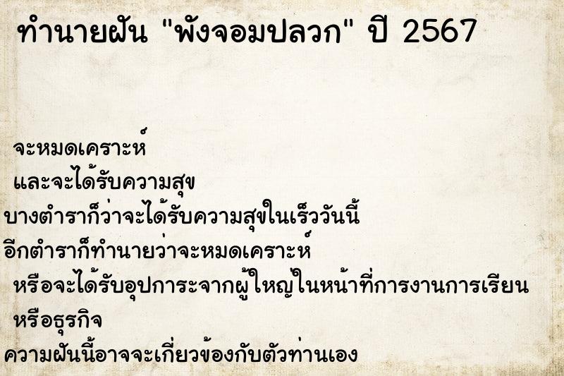 ทำนายฝันพังจอมปลวก ทำนายฝันทำนายฝันพังจอมปลวก