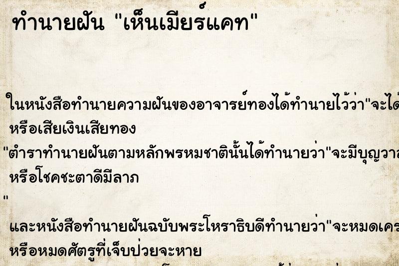 ทำนายฝัน เห็นเมียร์แคท ทำนายฝัน เห็นเมียร์แคท