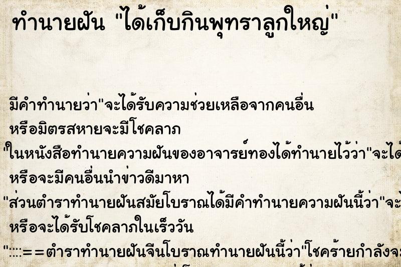ทำนายฝัน ได้เก็บกินพุทราลูกใหญ่ ทำนายฝัน ได้เก็บกินพุทราลูกใหญ่