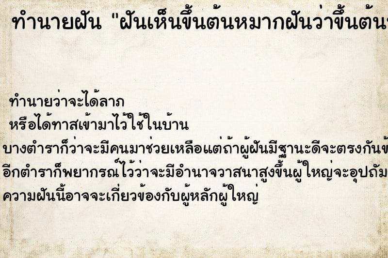 ทำนายฝันฝันเห็นขึ้นต้นหมากฝันว่าขึ้นต้นหมาก ทำนายฝันทำนายฝันฝันเห็นขึ้นต้นหมากฝันว่าขึ้นต้นหมาก