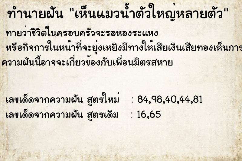 ทำนายฝันเห็นแมวน้ำตัวใหญ่หลายตัว ทำนายฝันทำนายฝันเห็นแมวน้ำตัวใหญ่หลายตัว