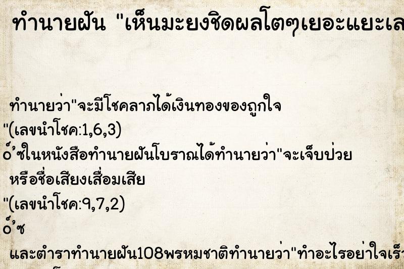 ทำนายฝัน เห็นมะยงชิดผลโตๆเยอะแยะเลย ทำนายฝัน เห็นมะยงชิดผลโตๆเยอะแยะเลย