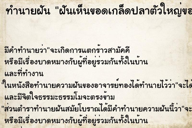 ทำนายฝัน ฝันเห็นขอดเกล็ดปลาตัวใหญ่ขอดเกล็ดปลาตัวใหญ่ ทำนายฝัน ฝันเห็นขอดเกล็ดปลาตัวใหญ่ขอดเกล็ดปลาตัวใหญ่