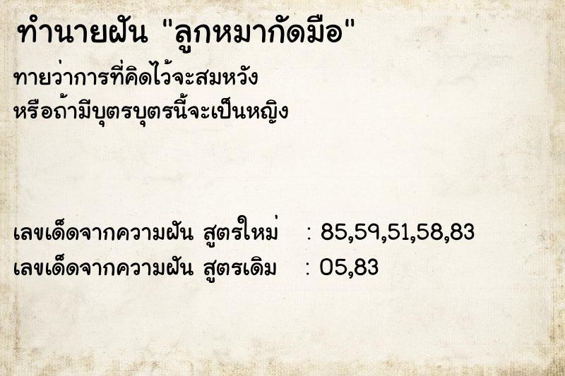 ทำนายฝัน ลูกหมากัดมือ ทำนายฝัน ลูกหมากัดมือ