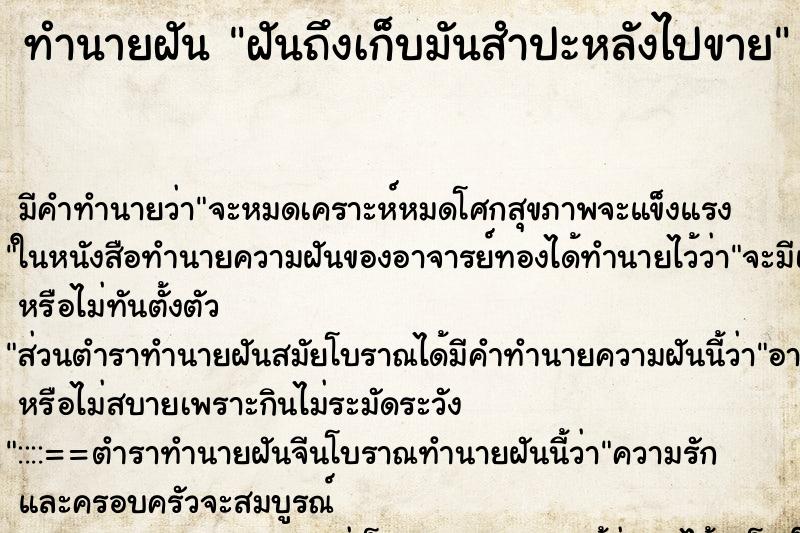 ทำนายฝันฝันถึงเก็บมันสำปะหลังไปขาย ทำนายฝันทำนายฝันฝันถึงเก็บมันสำปะหลังไปขาย