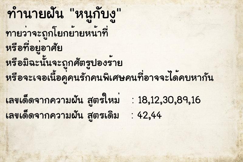 ทำนายฝันหนูกับงู ทำนายฝันทำนายฝันหนูกับงู