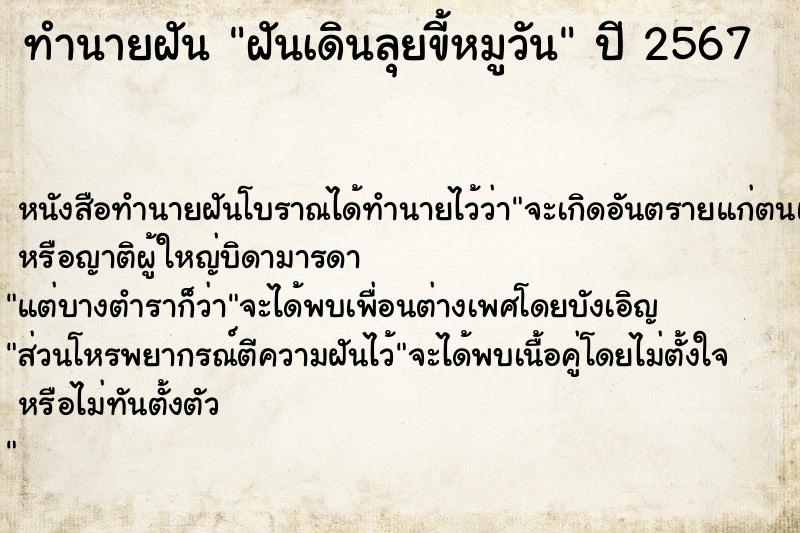 ทำนายฝันฝันเดินลุยขี้หมูวัน ทำนายฝันทำนายฝันฝันเดินลุยขี้หมูวัน