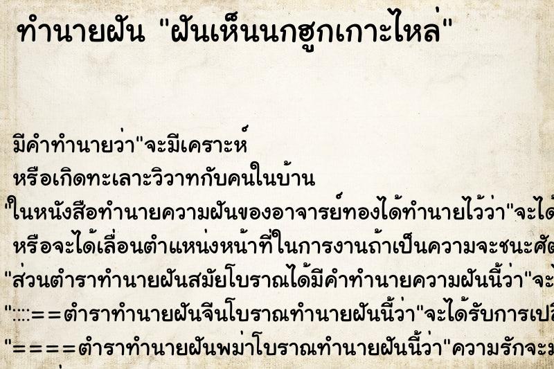 ทำนายฝัน ฝันเห็นนกฮูกเกาะไหล่ ทำนายฝัน ฝันเห็นนกฮูกเกาะไหล่