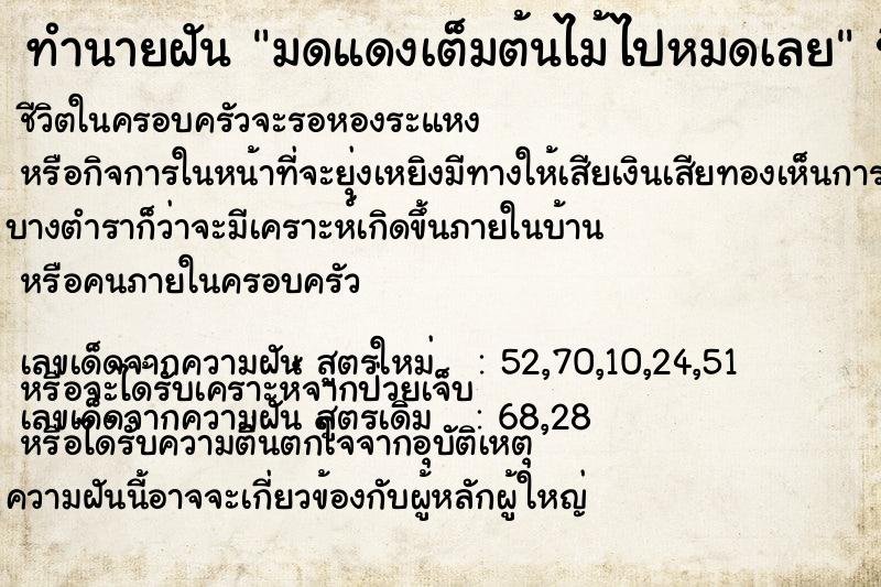 ทำนายฝันทำนายฝันมดแดงเต็มต้นไม้ไปหมดเลย