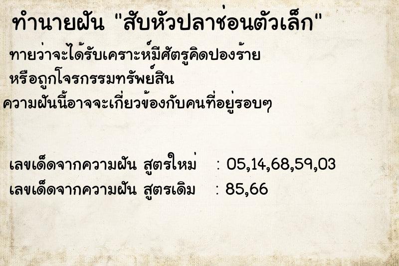 ทำนายฝันสับหัวปลาช่อนตัวเล็ก ทำนายฝันทำนายฝันสับหัวปลาช่อนตัวเล็ก