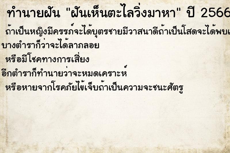 ทำนายฝันฝันเห็นตะไลวิ่งมาหา ทำนายฝันทำนายฝันฝันเห็นตะไลวิ่งมาหา