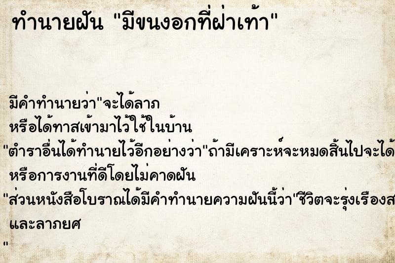ทำนายฝัน มีขนงอกที่ฝ่าเท้า ทำนายฝัน มีขนงอกที่ฝ่าเท้า