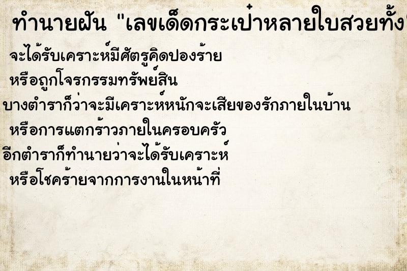 ทำนายฝันทำนายฝันเลขเด็ดกระเป๋าหลายใบสวยทั้ง