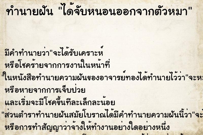 ทำนายฝันทำนายฝันได้จับหนอนออกจากตัวหมา