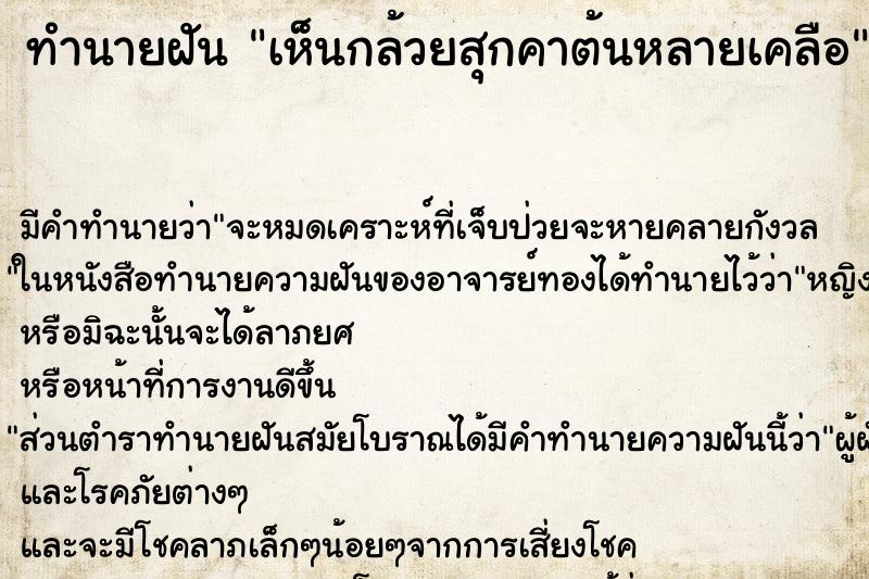ทำนายฝัน เห็นกล้วยสุกคาต้นหลายเคลือ ทำนายฝัน เห็นกล้วยสุกคาต้นหลายเคลือ