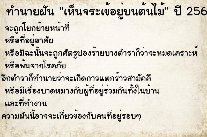 ทำนายฝันเห็นจระเข้อยู่บนต้นไม้ ทำนายฝันทำนายฝันเห็นจระเข้อยู่บนต้นไม้