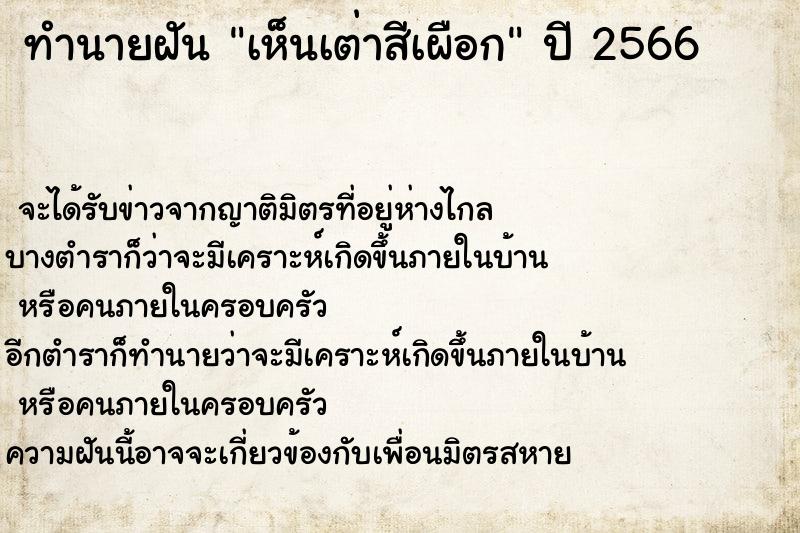 ทำนายฝันเห็นเต่าสีเผือก ทำนายฝันทำนายฝันเห็นเต่าสีเผือก