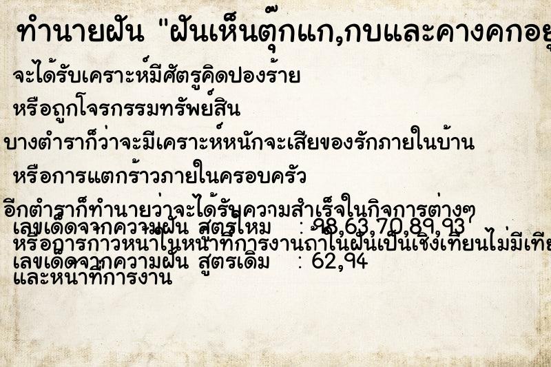 ทำนายฝัน ฝันเห็นตุ๊กแก,กบและคางคกอยู่พร้อมกัน ตำราโบราณ แม่นที่สุดในโลก