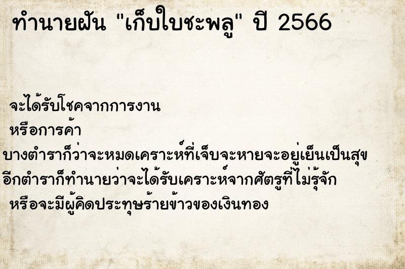 ทำนายฝันเก็บใบชะพลู ทำนายฝันทำนายฝันเก็บใบชะพลู