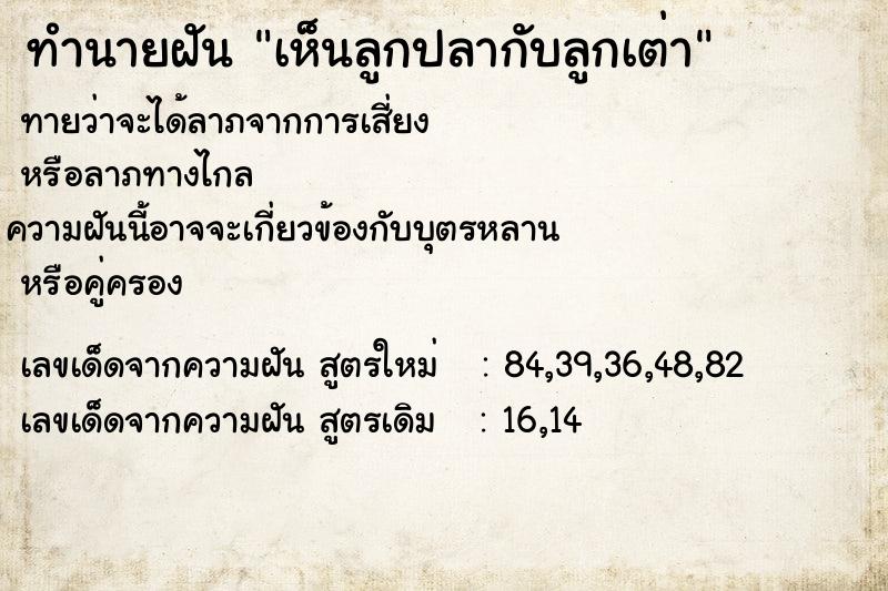 ทำนายฝันทำนายฝันเห็นลูกปลากับลูกเต่า