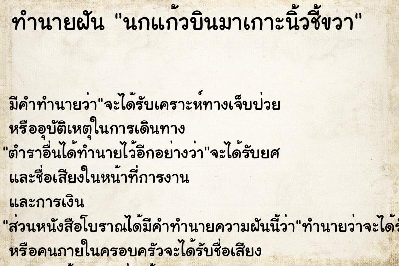 ทำนายฝัน นกแก้วบินมาเกาะนิ้วชี้ขวา ทำนายฝัน นกแก้วบินมาเกาะนิ้วชี้ขวา