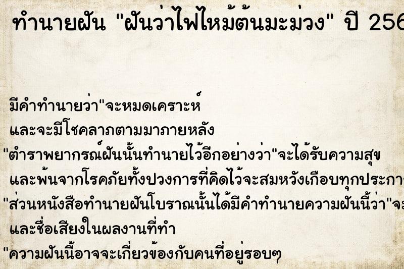 ทำนายฝัน ฝันว่าไฟไหม้ต้นมะม่วง ตำราโบราณ แม่นที่สุดในโลก