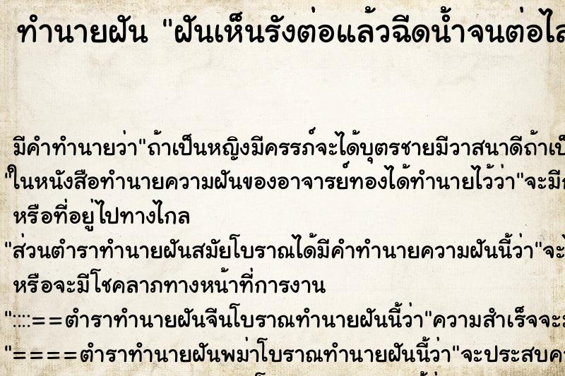 ทำนายฝันฝันเห็นรังต่อแล้วฉีดน้ำจนต่อไล่ต่อย ทำนายฝันทำนายฝันฝันเห็นรังต่อแล้วฉีดน้ำจนต่อไล่ต่อย