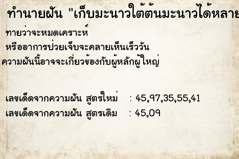 ทำนายฝัน เก็บมะนาวใต้ต้นมะนาวได้หลายลูก ทำนายฝัน เก็บมะนาวใต้ต้นมะนาวได้หลายลูก