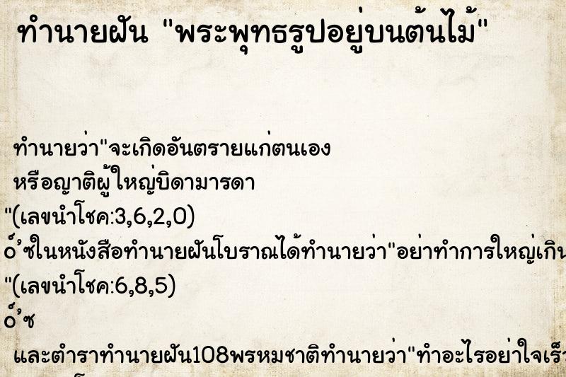 ทำนายฝันพระพุทธรูปอยู่บนต้นไม้ ทำนายฝันทำนายฝันพระพุทธรูปอยู่บนต้นไม้