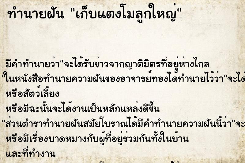 ทำนายฝัน เก็บแตงโมลูกใหญ่ ตำราโบราณ แม่นที่สุดในโลก