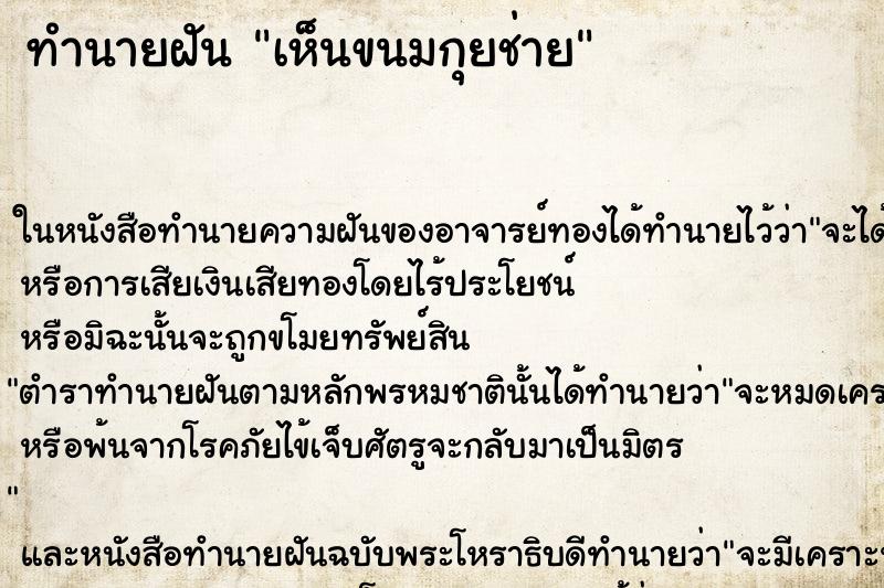 ทำนายฝันเห็นขนมกุยช่าย ทำนายฝันทำนายฝันเห็นขนมกุยช่าย
