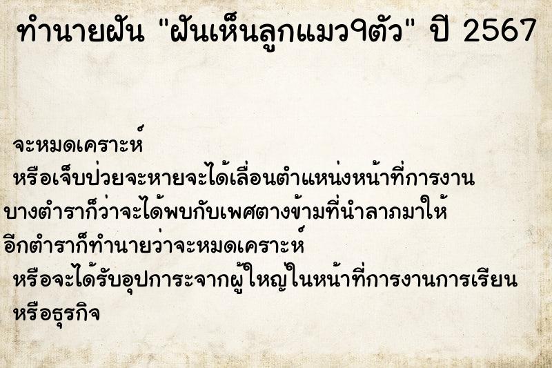 ทำนายฝันฝันเห็นลูกแมว9ตัว ทำนายฝันทำนายฝันฝันเห็นลูกแมว9ตัว
