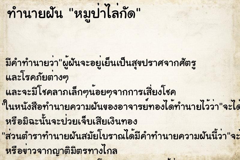 ทำนายฝัน หมูป่าไล่กัด