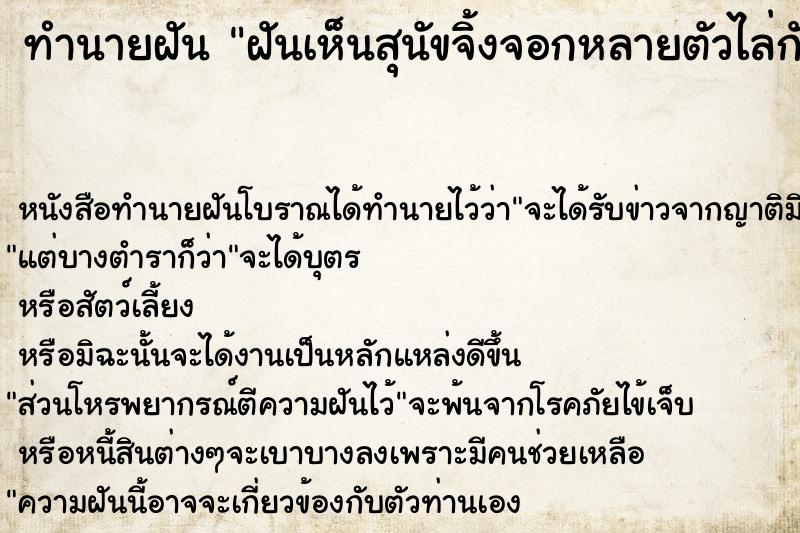 ทำนายฝันฝันเห็นสุนัขจิ้งจอกหลายตัวไล่กัด ทำนายฝันทำนายฝันฝันเห็นสุนัขจิ้งจอกหลายตัวไล่กัด