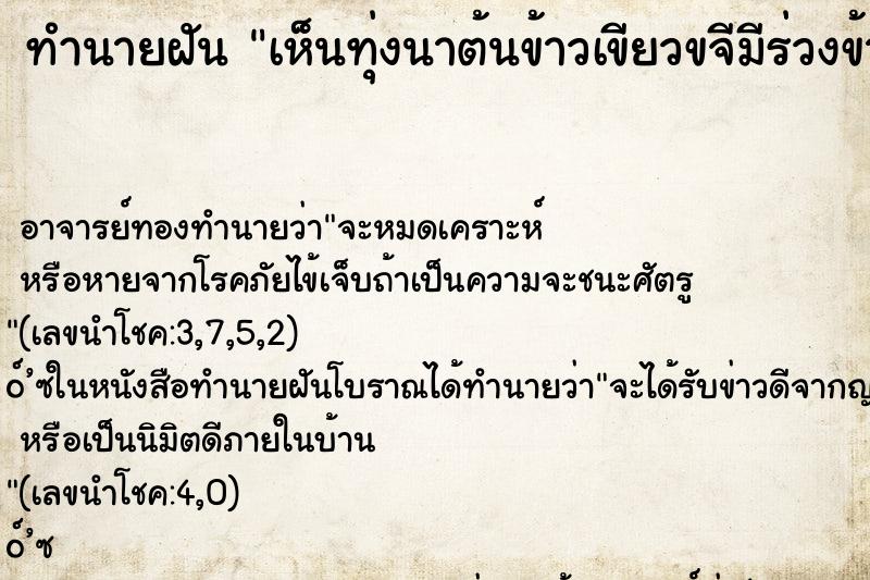 ทำนายฝัน เห็นทุ่งนาต้นข้าวเขียวขจีมีร่วงข้าวเหลืองมากมาย ทำนายฝัน เห็นทุ่งนาต้นข้าวเขียวขจีมีร่วงข้าวเหลืองมากมาย