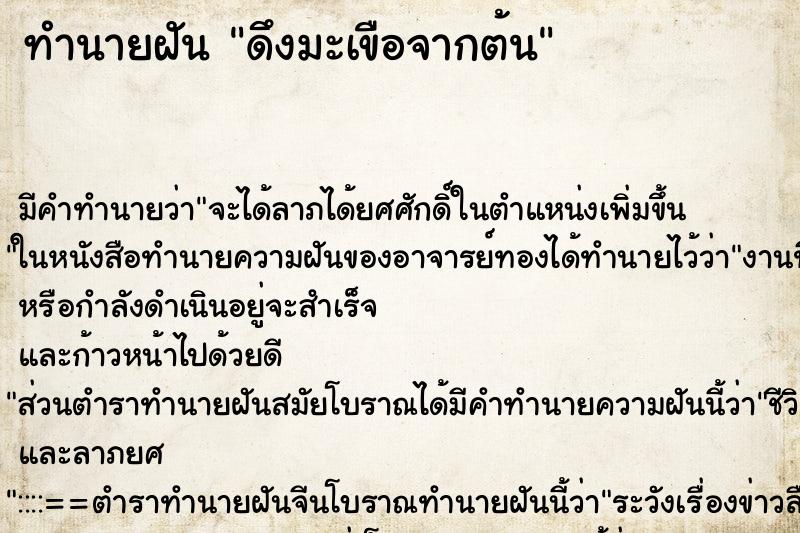 ทำนายฝัน ดึงมะเขือจากต้น ทำนายฝัน ดึงมะเขือจากต้น