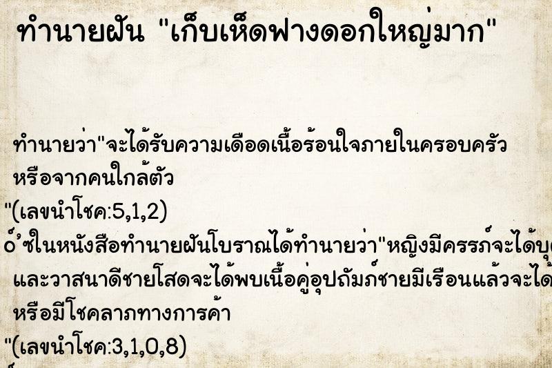 ทำนายฝันเก็บเห็ดฟางดอกใหญ่มาก ทำนายฝันทำนายฝันเก็บเห็ดฟางดอกใหญ่มาก