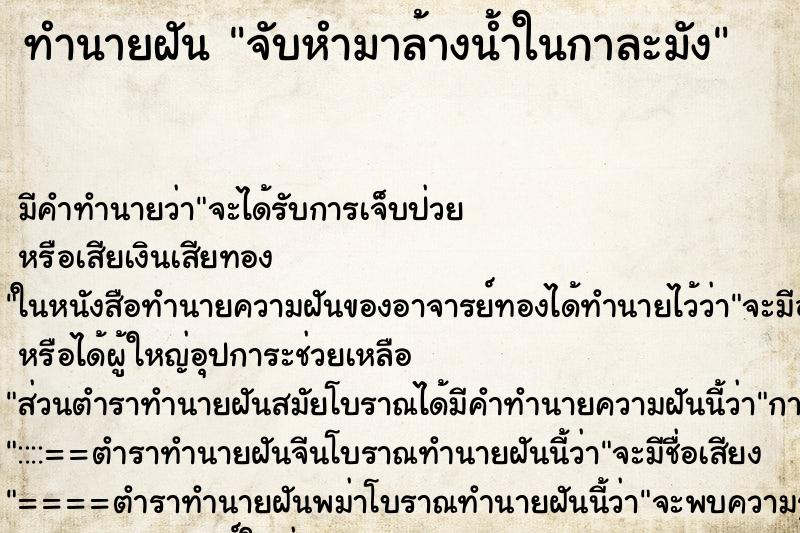 ทำนายฝันทำนายฝันจับหำมาล้างน้ำในกาละมัง