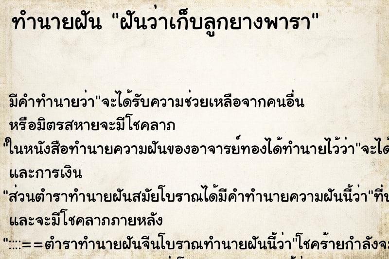 ทำนายฝัน ฝันว่าเก็บลูกยางพารา ทำนายฝัน ฝันว่าเก็บลูกยางพารา