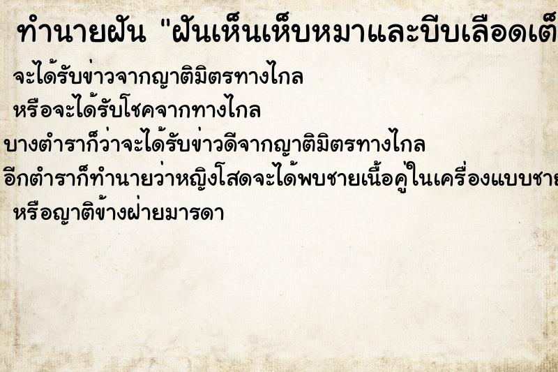 ทำนายฝันทำนายฝันฝันเห็นเห็บหมาและบีบเลือดเต็มมือ