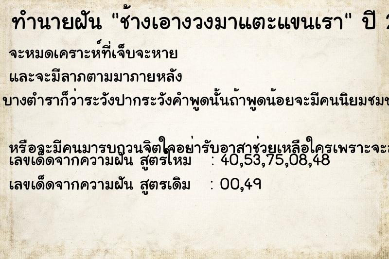 ทำนายฝัน ช้างเอางวงมาแตะแขนเรา ทำนายฝัน ช้างเอางวงมาแตะแขนเรา
