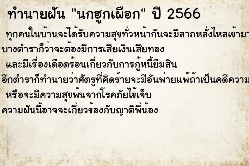 ทำนายฝันนกฮูกเผือก ทำนายฝันทำนายฝันนกฮูกเผือก