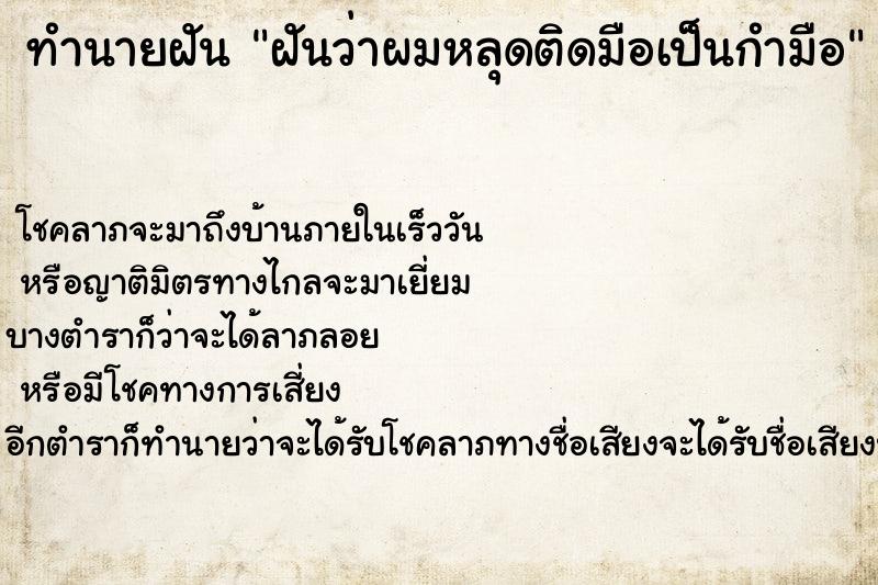 ทำนายฝันฝันว่าผมหลุดติดมือเป็นกำมือ ทำนายฝันทำนายฝันฝันว่าผมหลุดติดมือเป็นกำมือ