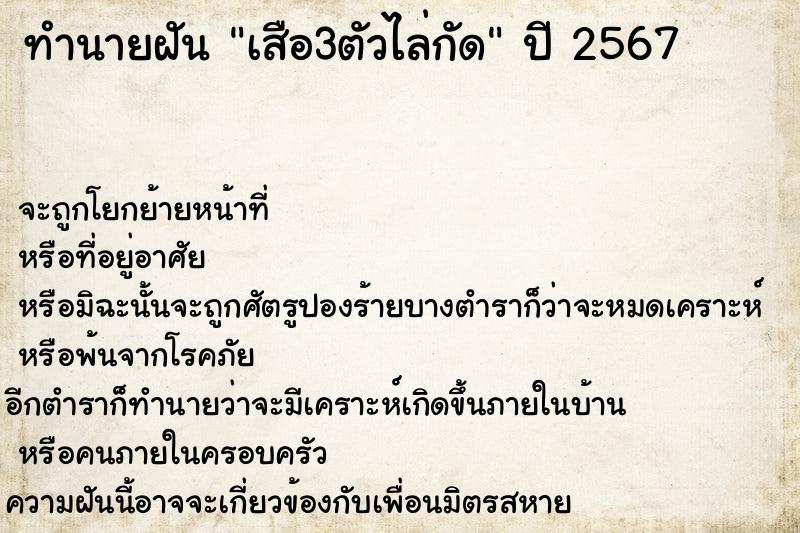 ทำนายฝัน เสือ3ตัวไล่กัด ทำนายฝัน เสือ3ตัวไล่กัด