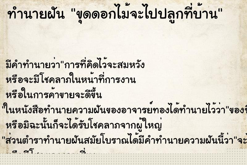 ทำนายฝัน ขุดดอกไม้จะไปปลูกที่บ้าน ทำนายฝัน ขุดดอกไม้จะไปปลูกที่บ้าน