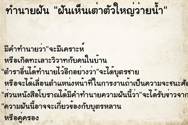 ทำนายฝัน ฝันเห็นเต่าตัวใหญ่ว่ายน้ำ ทำนายฝัน ฝันเห็นเต่าตัวใหญ่ว่ายน้ำ
