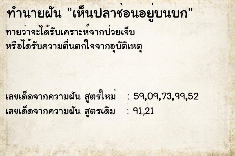 ทำนายฝัน เห็นปลาช่อนอยู่บนบก